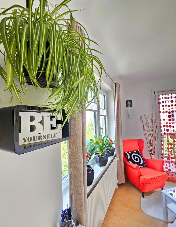 Praxis mieten Perchtoldsdorf Praxis mieten Perchtoldsdorf